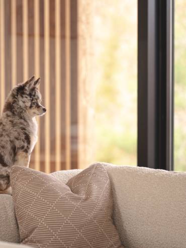 Sera_Autumn-DVNExclusive-23